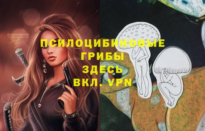 Галлюциногенные грибы Psilocybe  Мирный 